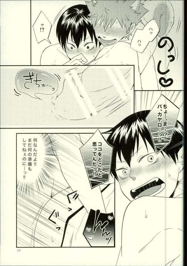 (C88) [Parade (Isoya Kashi)] Ore no Kareshi ga Inu ni Toritsukaremashite. (Haikyuu!!) - Page 13