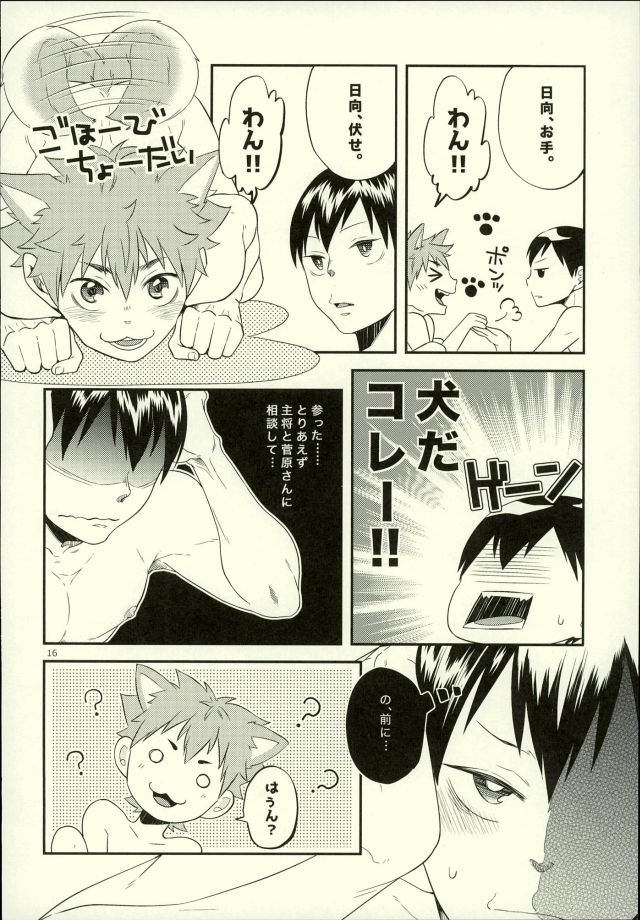 (C88) [Parade (Isoya Kashi)] Ore no Kareshi ga Inu ni Toritsukaremashite. (Haikyuu!!) - Page 16