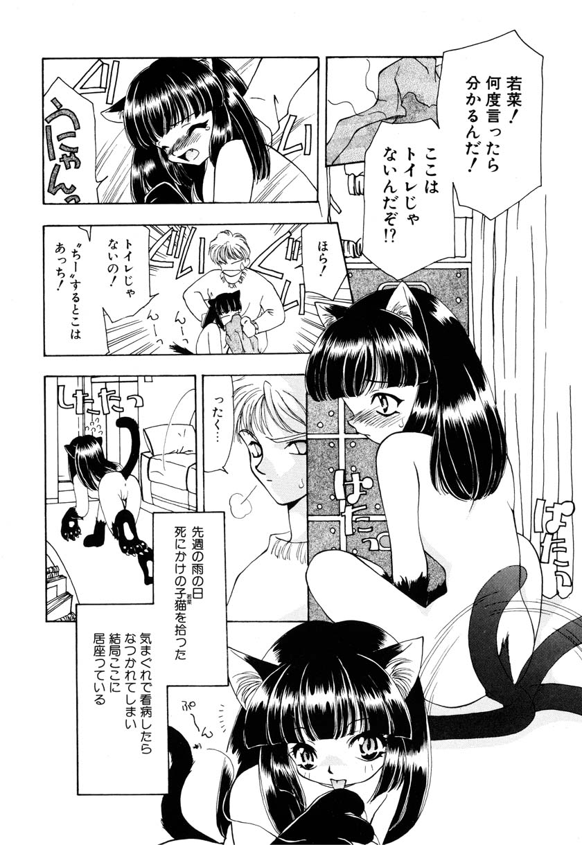 [Anthology] Little Pierce Vol. 9 - Page 8