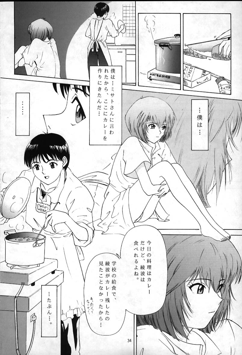 (C49) [Chimatsuriya Honpo (Asanagi Aoi)] 0000000001 (Neon Genesis Evangelion) - Page 31