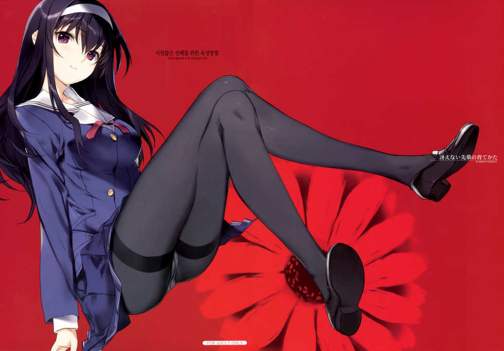 (C91) [Nise-Jyuusyofutei (Nakamura Takeshi)] Saenai Senpai no Sodatekata (Saenai Heroine no Sodatekata) [Korean] - Page 2