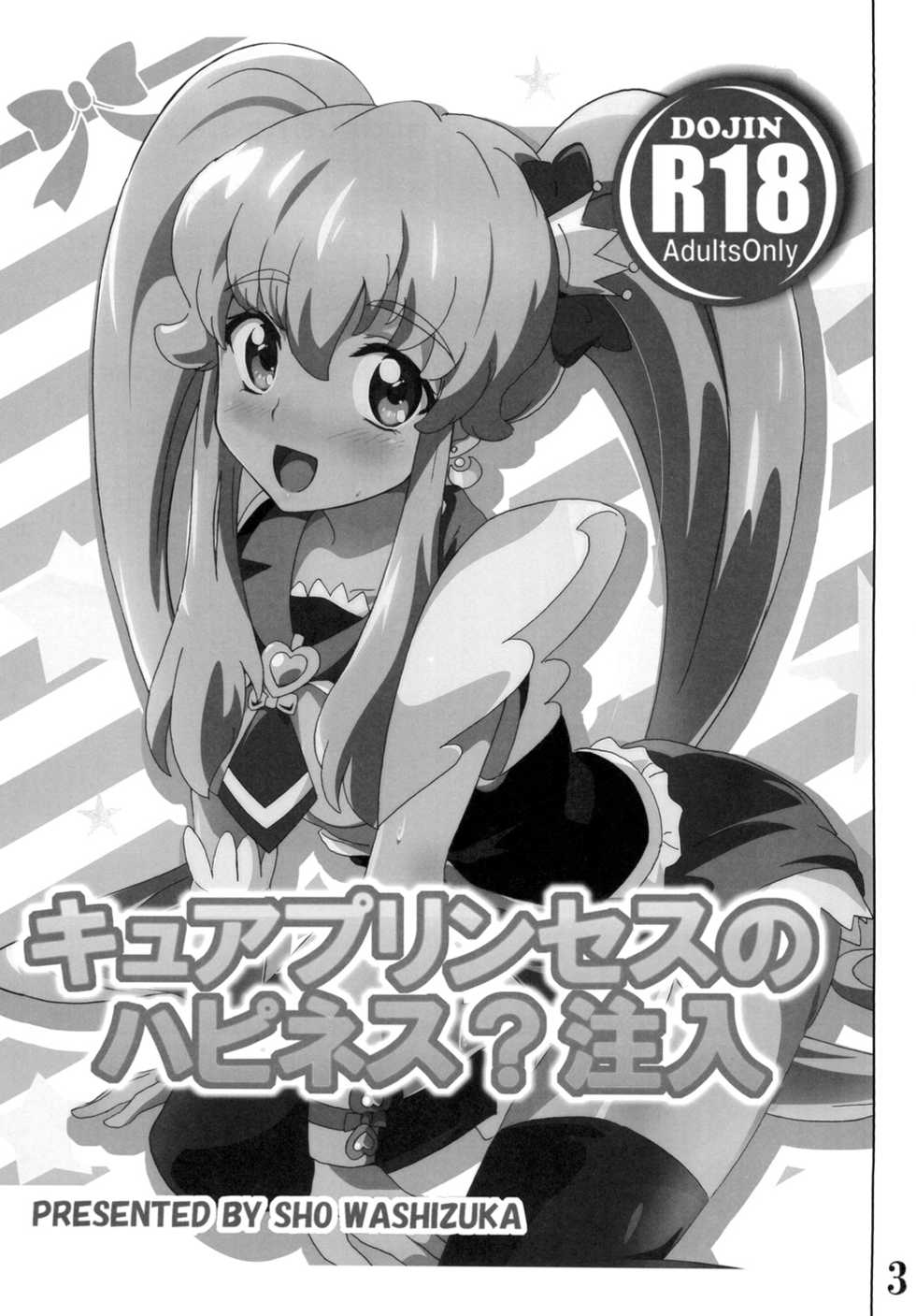 [Commanding Eagle (Washizuka Sho)] Cure Princess no Happiness? Chuunyuu (HappinessCharge Precure!) [Digital] - Page 3