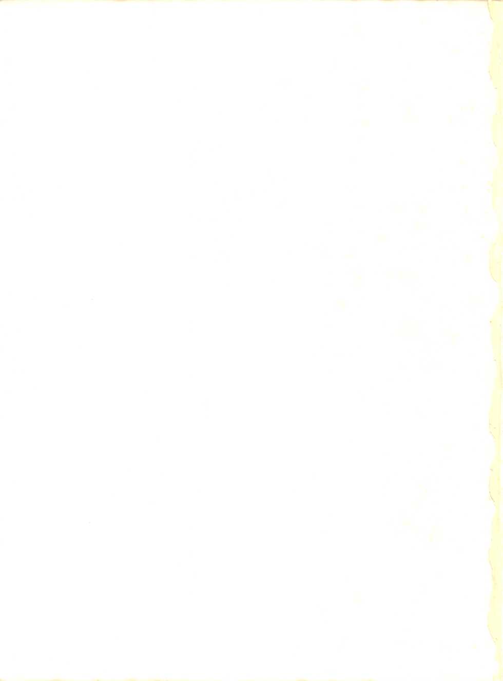 [Group NEKO (WOODY)] MAGIC GALS Select Memory (Various) - Page 3