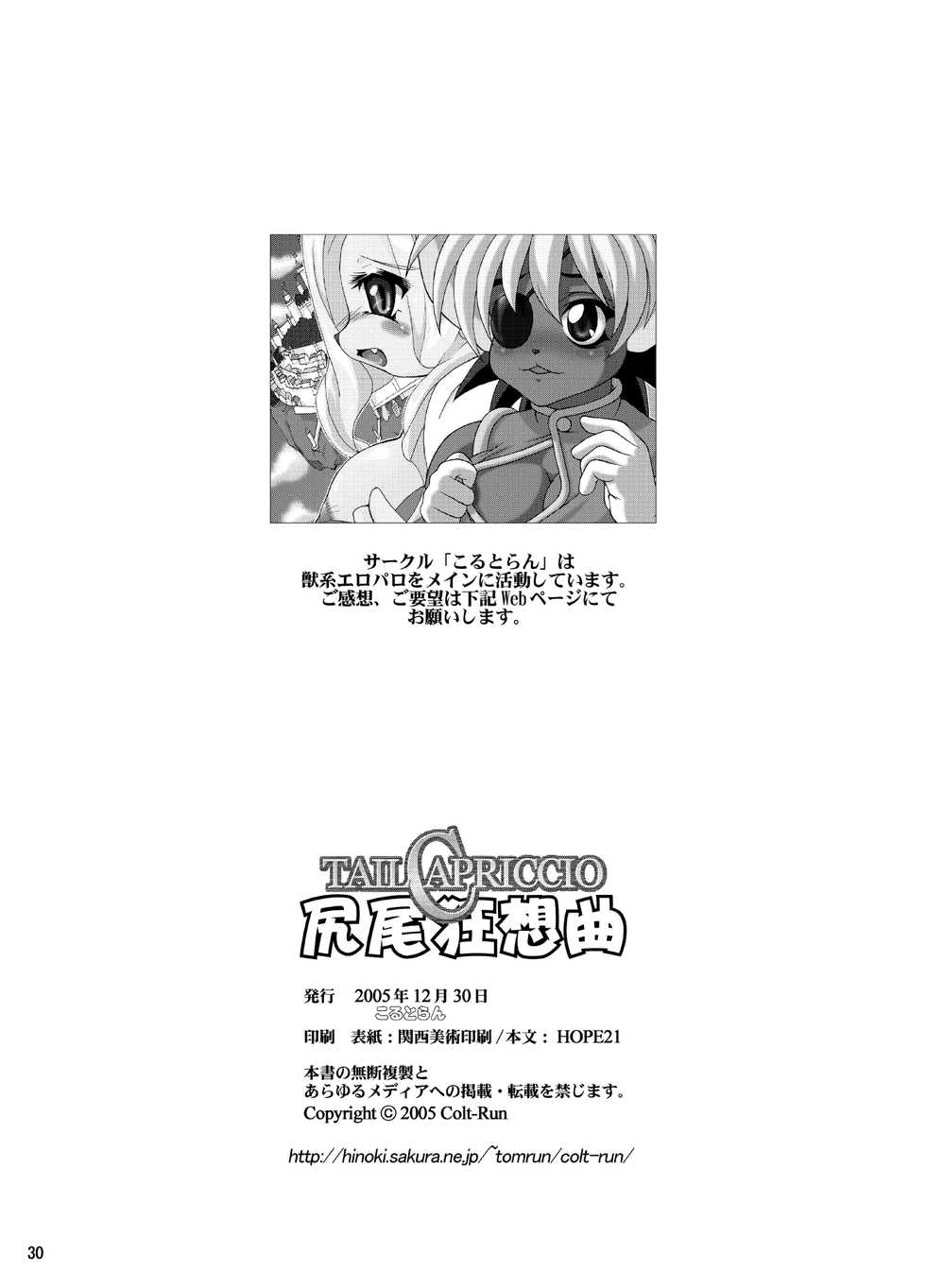 (C69) [Colt-Run (Colulun, Minami Kohto) Shippo kyousoukyoku (Tail Concerto) - Page 30