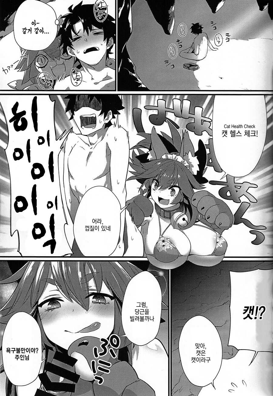 (C91) [Ramen Half Price ¥280 (Shirisensha)] Manatsu no Dosukebe Mesu Cat (Fate/Grand Order) [Korean] - Page 4