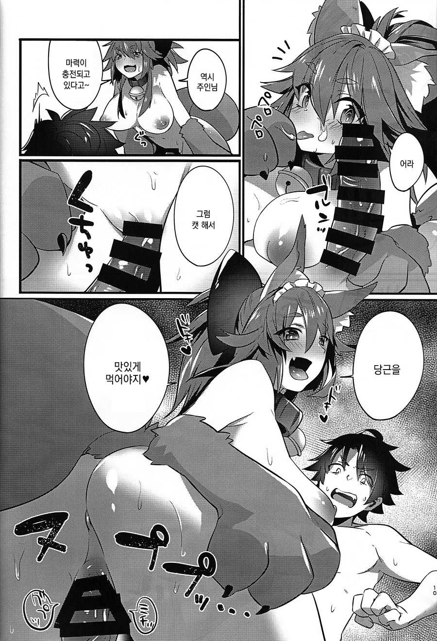 (C91) [Ramen Half Price ¥280 (Shirisensha)] Manatsu no Dosukebe Mesu Cat (Fate/Grand Order) [Korean] - Page 9