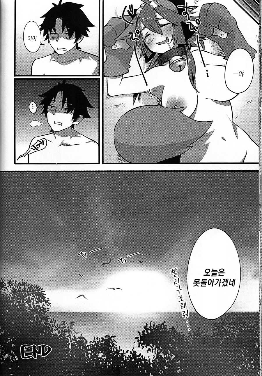 (C91) [Ramen Half Price ¥280 (Shirisensha)] Manatsu no Dosukebe Mesu Cat (Fate/Grand Order) [Korean] - Page 17
