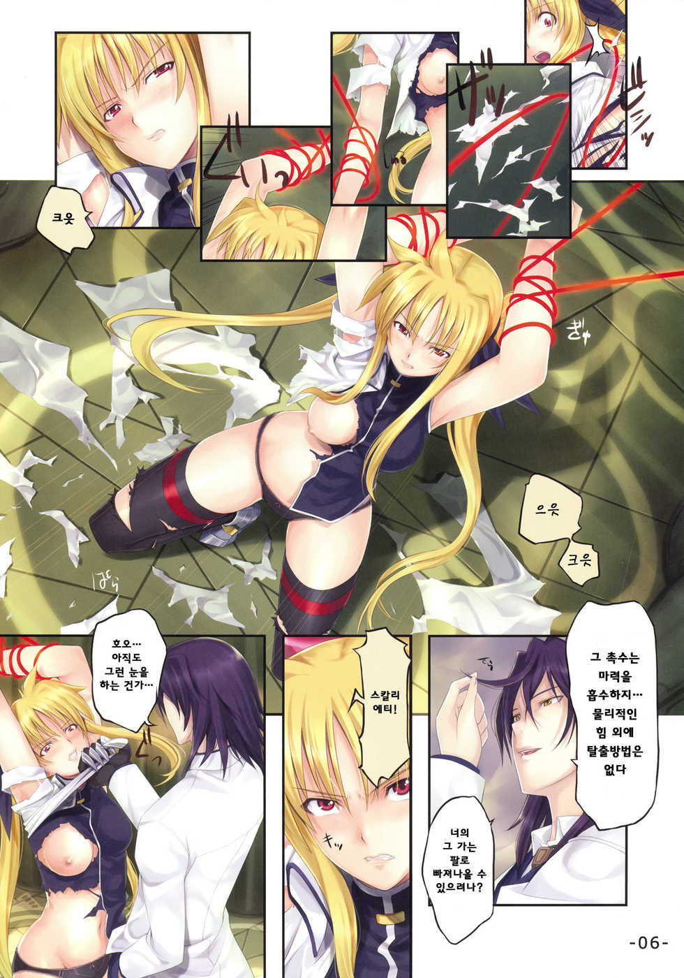 (C74) [TRI-MOON! (Mikazuki Akira!)] PASSION -karakore 2- (Mahou Shoujo Lyrical Nanoha) [Korean] [시뮬라시옹] - Page 6