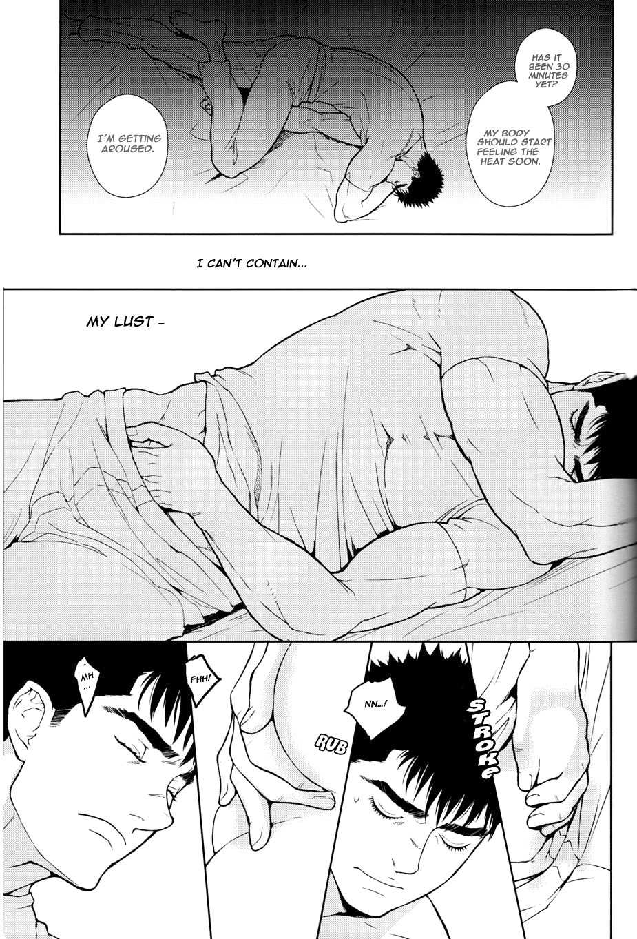 (C88) [Killer Bambi (Matsumoto Inaki)] Heartache 2 (Berserk) [English] [cseg64] - Page 30