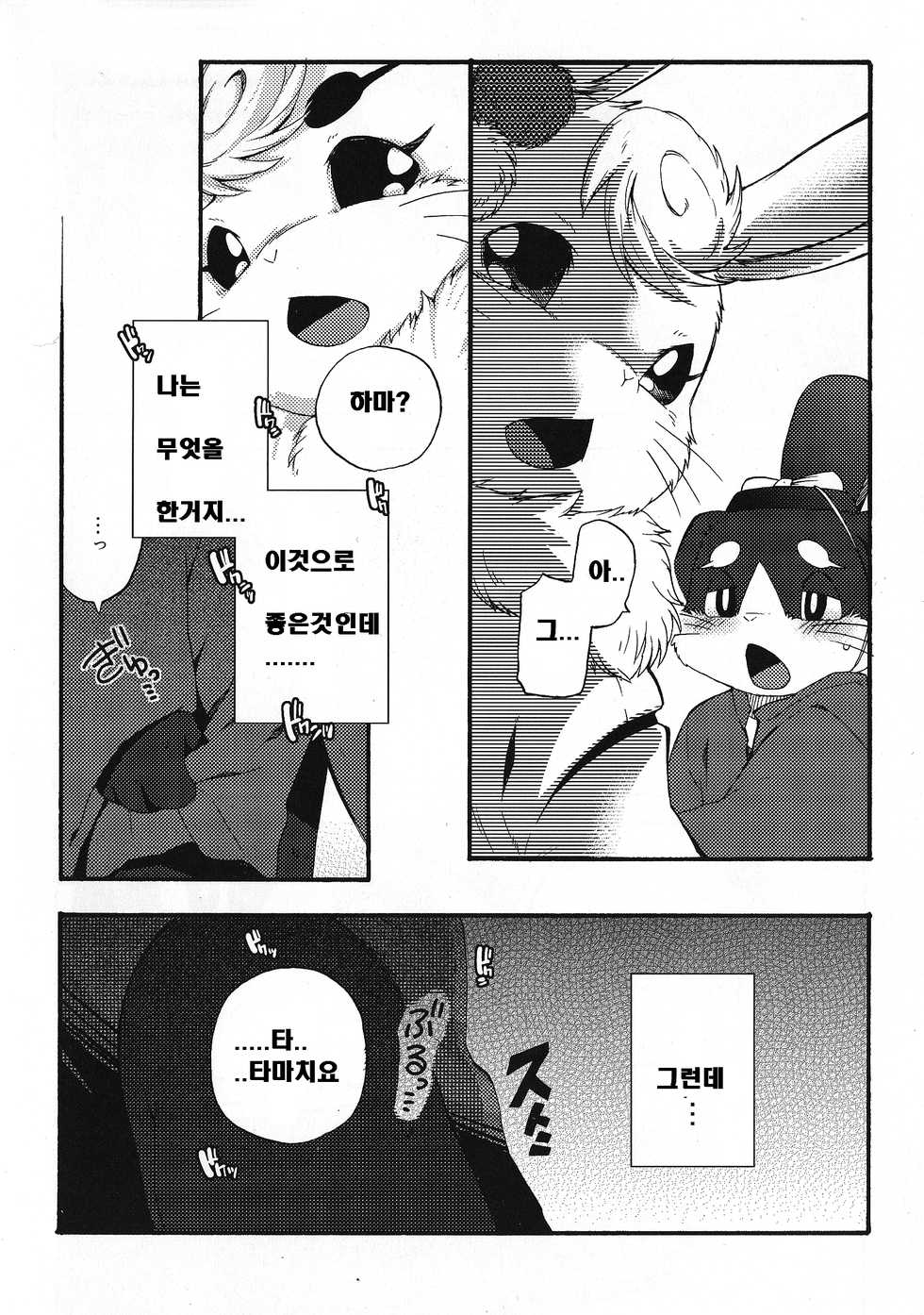 (C85) [Dogear (Inumimi Moeta)] Hitoridachi 2 Hikime (Gingitsune) [Korean] [호접몽] - Page 21