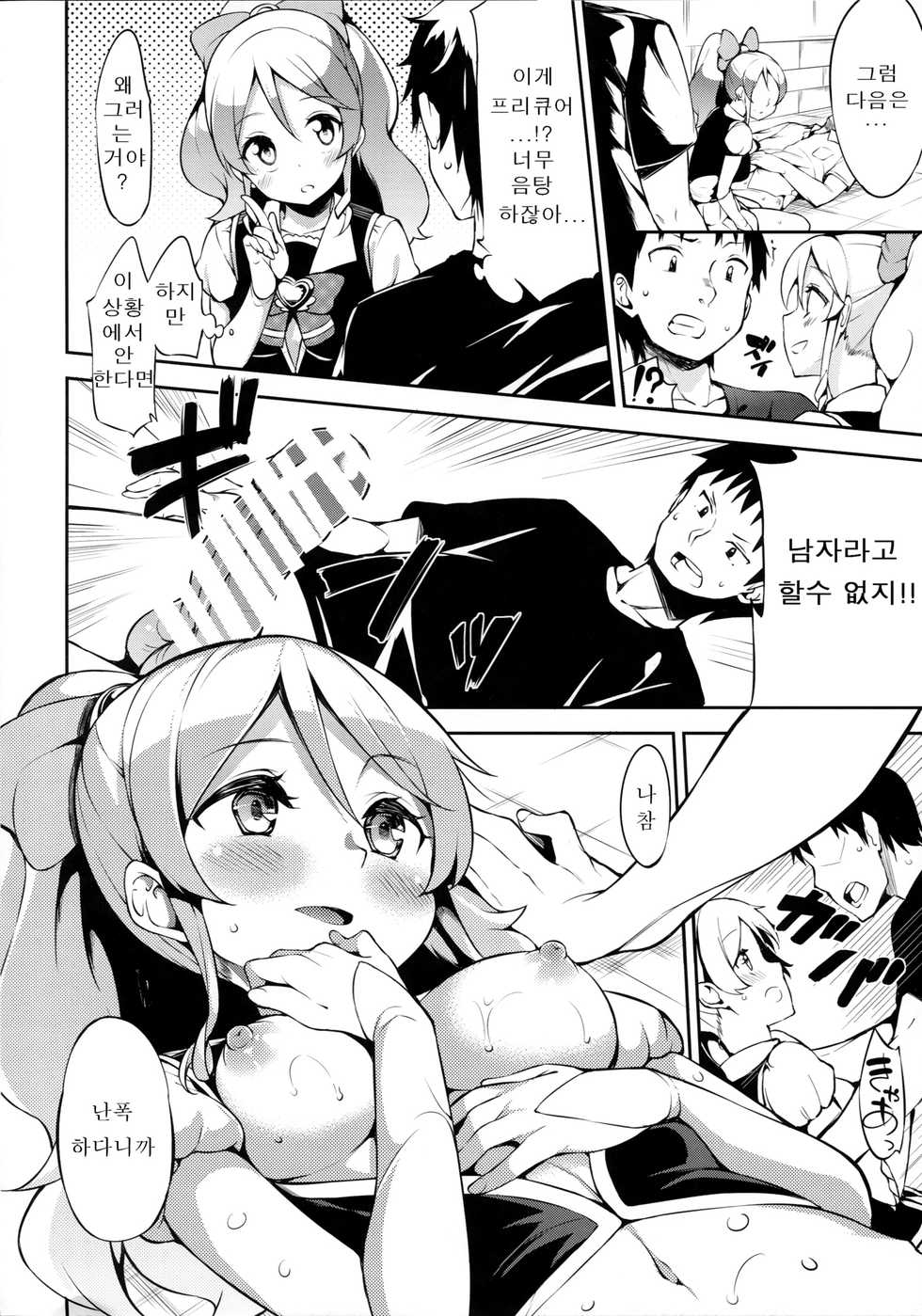 (CT25) [Garimpeiro (Mame Denkyuu)] Shiawase Oomori Delivery | 행복을 곱배기로 배달합니다 (HappinessCharge PreCure!) [Korean] - Page 12