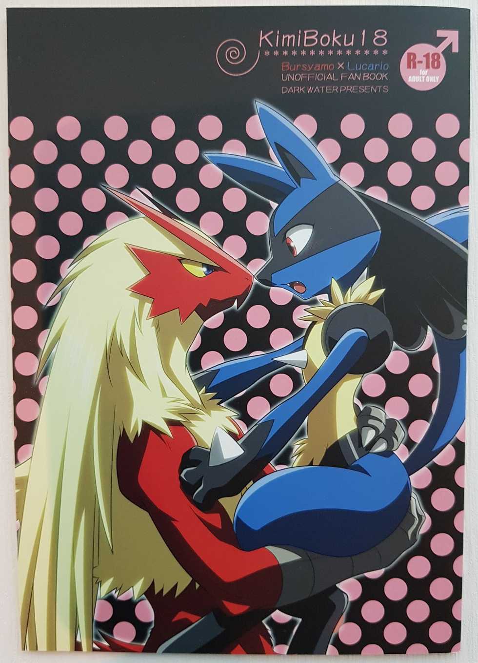 (C86) [DARK WATER (Tatsuse)] KimiBoku18 (Pokémon) - Page 1