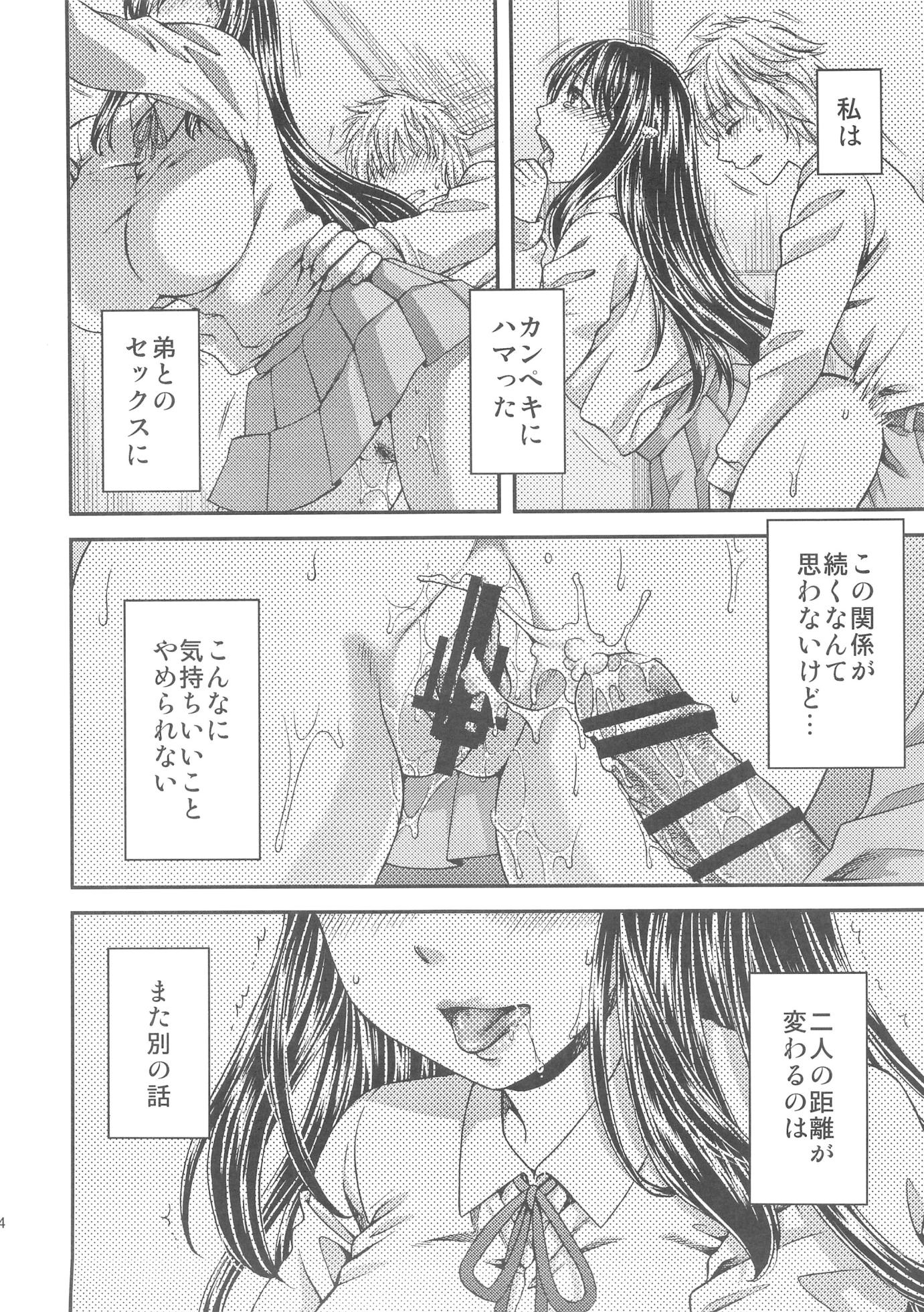 (C89) [catastrophe. (Harusawa)] Wagamama na Ane no Fujitsu na Kajitsu - Page 25