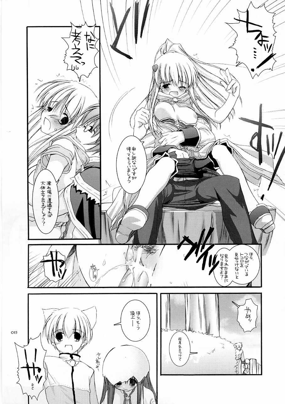(C70) [Digital Lover (Nakajima Yuka)] DL-RO Soushuuhen 03 - DL-RO Perfect Collection No. 03 (Ragnarok Online) - Page 14