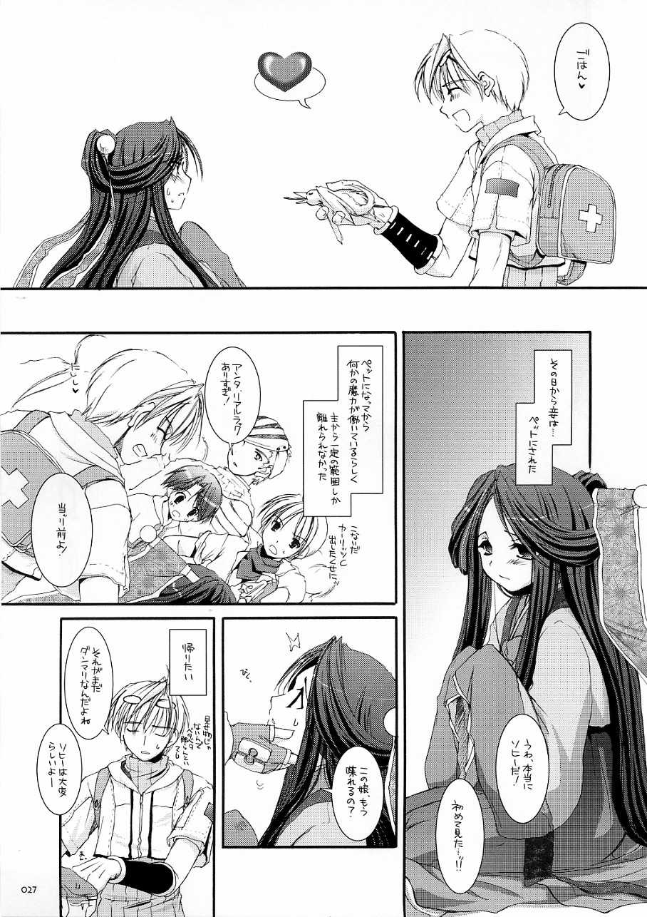 (C70) [Digital Lover (Nakajima Yuka)] DL-RO Soushuuhen 03 - DL-RO Perfect Collection No. 03 (Ragnarok Online) - Page 26