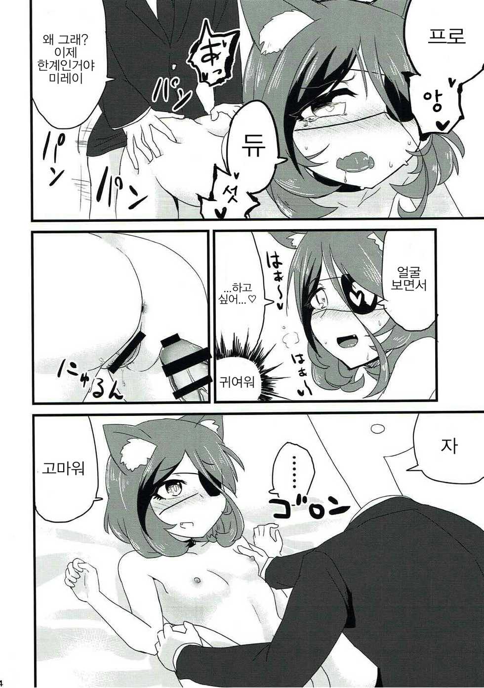 (C91) [Furanokumarin (Nakamura Kumarin)] Hatsujou Shiterun dakara Shikatanai yo ne (THE IDOLM@STER CINDERELLA GIRLS) [Korean] [Sally] - Page 13