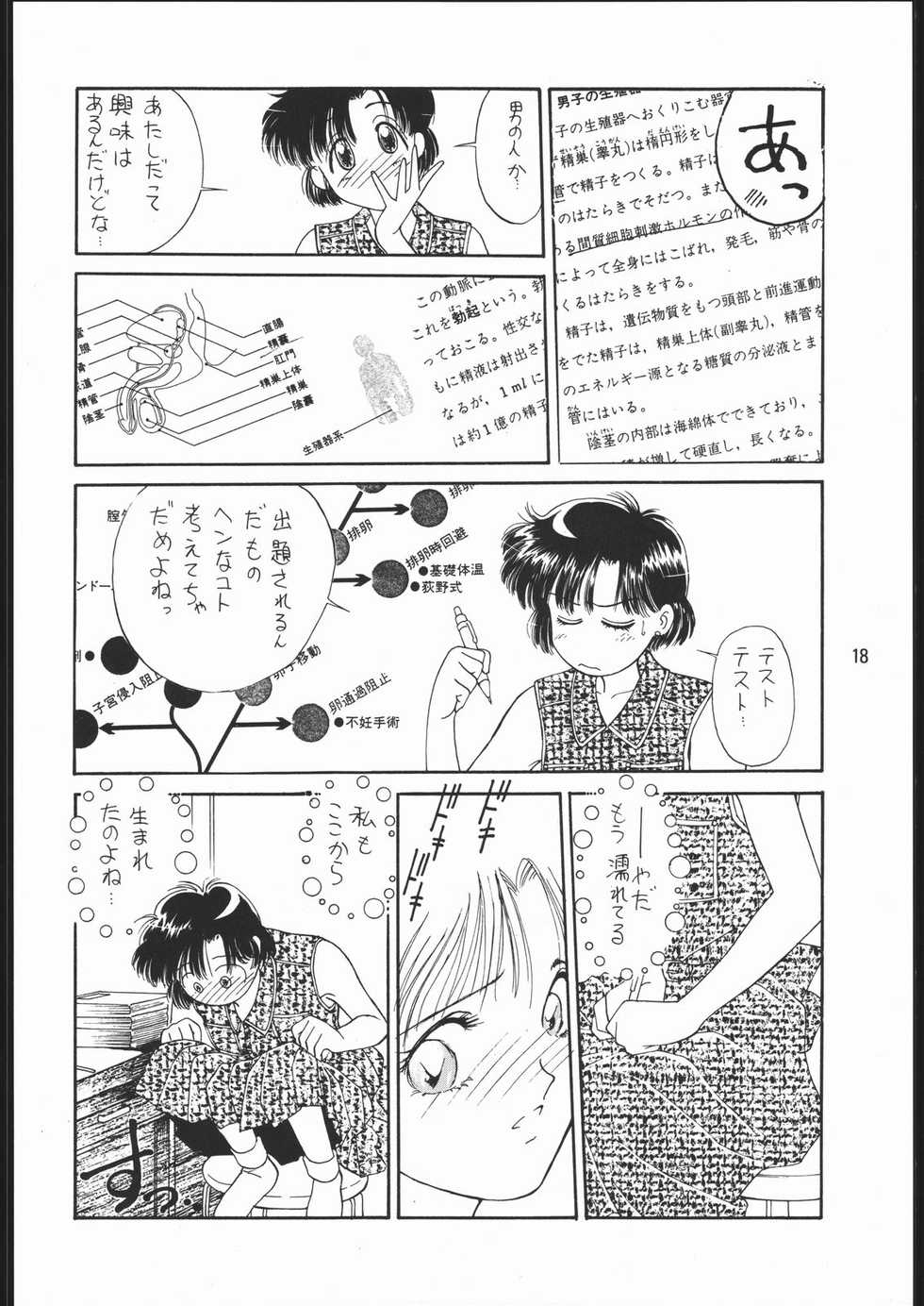 [Dotou no M Kikaku] うさぎがピョン!! (Bishoujo Senshi Sailor Moon) - Page 17