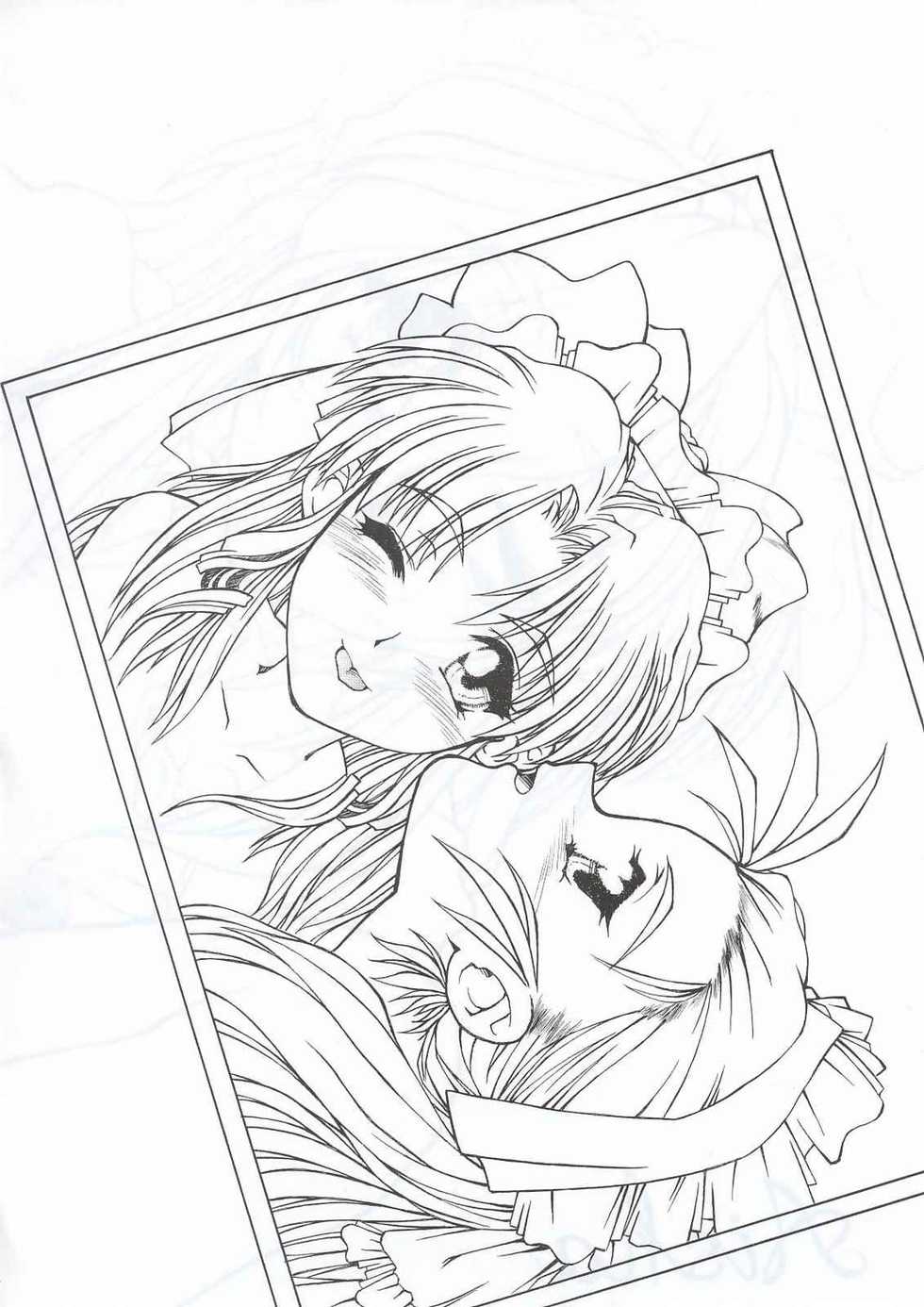 (C63) [Fresnel Lens (Hirano Kana)] Sai (Bishoujo Senshi Sailor Moon, Sentimental Graffiti, Martian Successor Nadesico) - Page 37