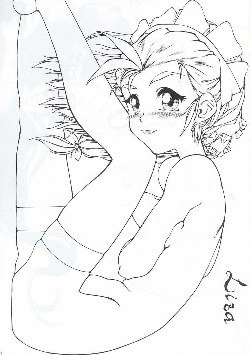 (C63) [Fresnel Lens (Hirano Kana)] Sai (Bishoujo Senshi Sailor Moon, Sentimental Graffiti, Martian Successor Nadesico) - Page 40