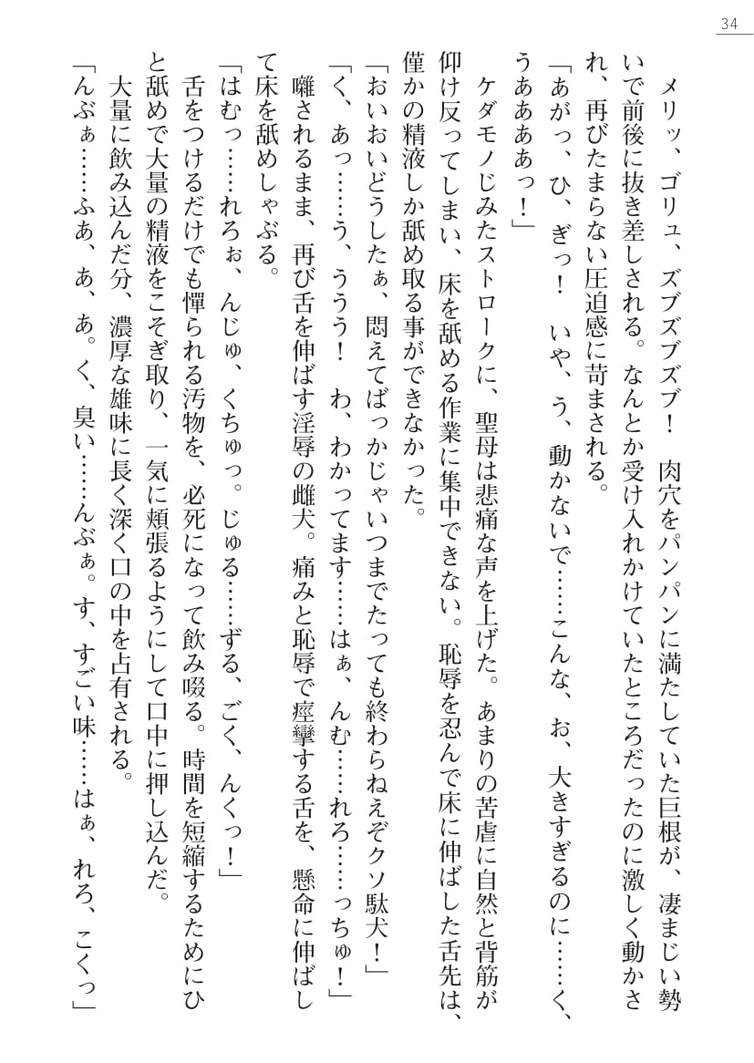 [Kuroi Hiroki, Honmachi Keisuke] Seibo Tenshi Mariel Haunting Memory - Page 34