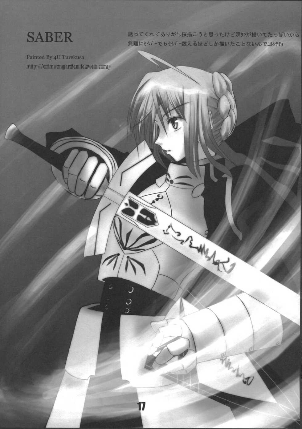 (CSP4) [Himura Nyuugyou (Himura Kiseki)] Sakura Chuudoku. 2.5 (Fate/stay night) - Page 16