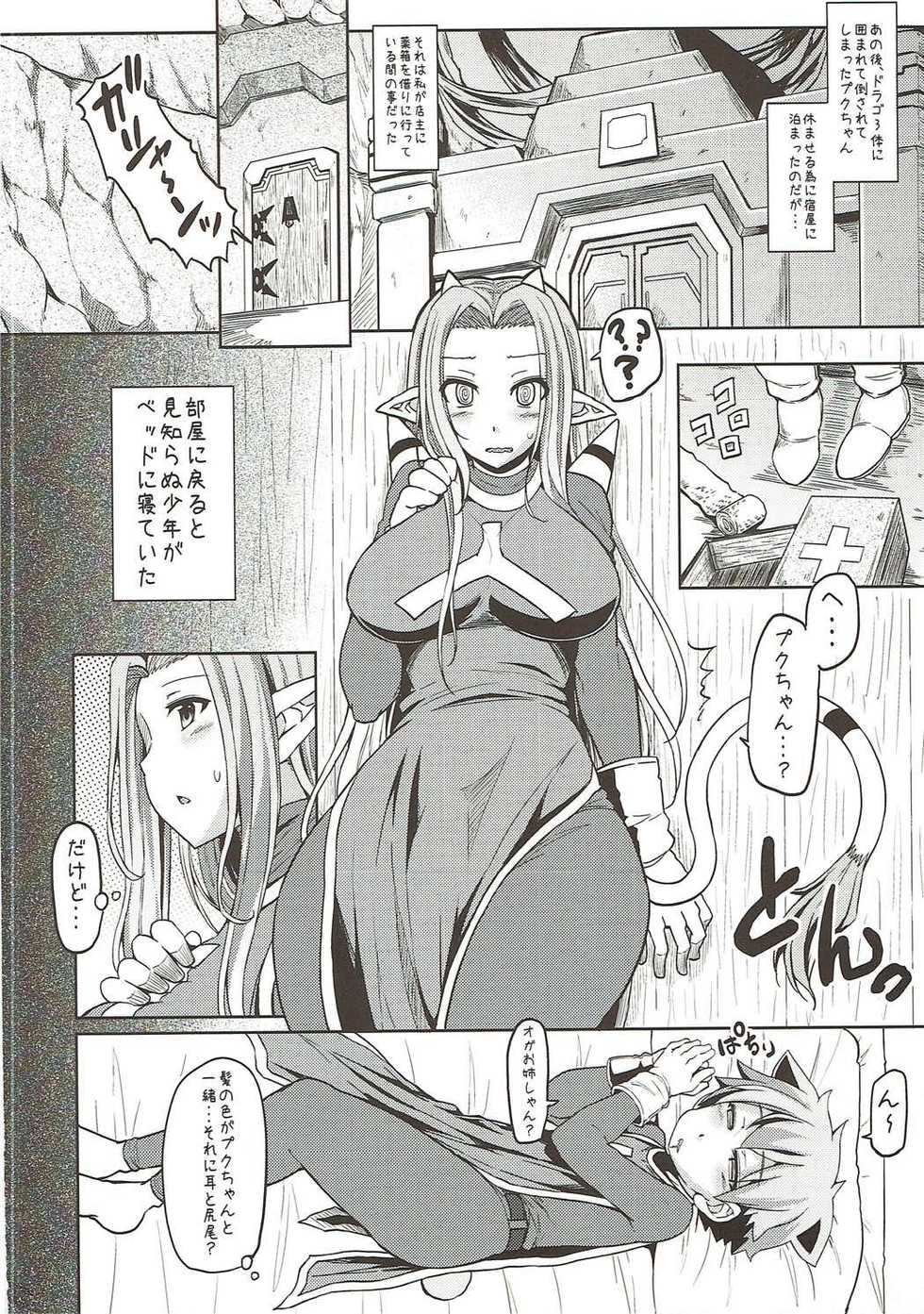 (C83) [Arysuivery (Ayakase Chiyoko, Ayakase Riberi)] OgrePuk (Dragon Quest X) - Page 3