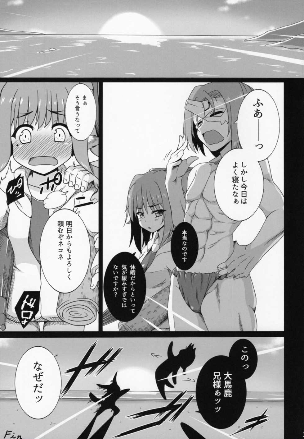 (C91) [Buttyakedo (Micchan)] Nekone to Tokonatsu no Kyuusokubi (Utawarerumono Itsuwari no Kamen) - Page 20