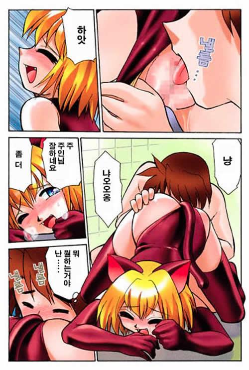 [mizuki hitoshi] hirotte! koshujinsama (korean) - Page 10