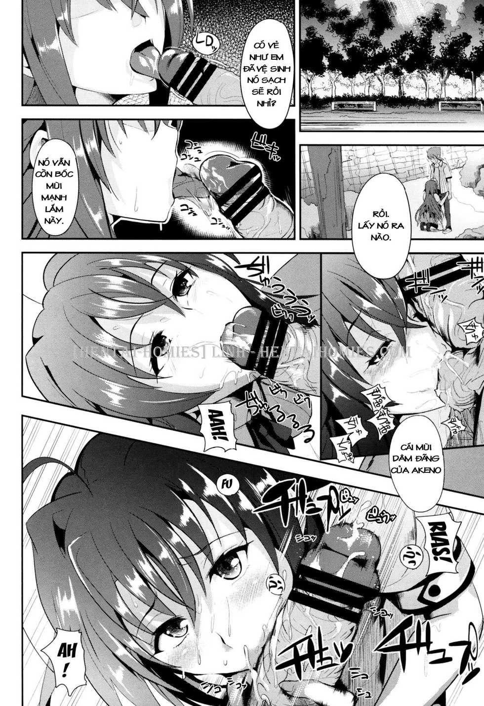 (C88) [Shijou Misaki (Satou Souji)] Highschool Seishun Hakusho H+H | High School Sexual Puberty Report H+H (Highschool DxD) [Vietnamese Tiếng Việt] - Page 13