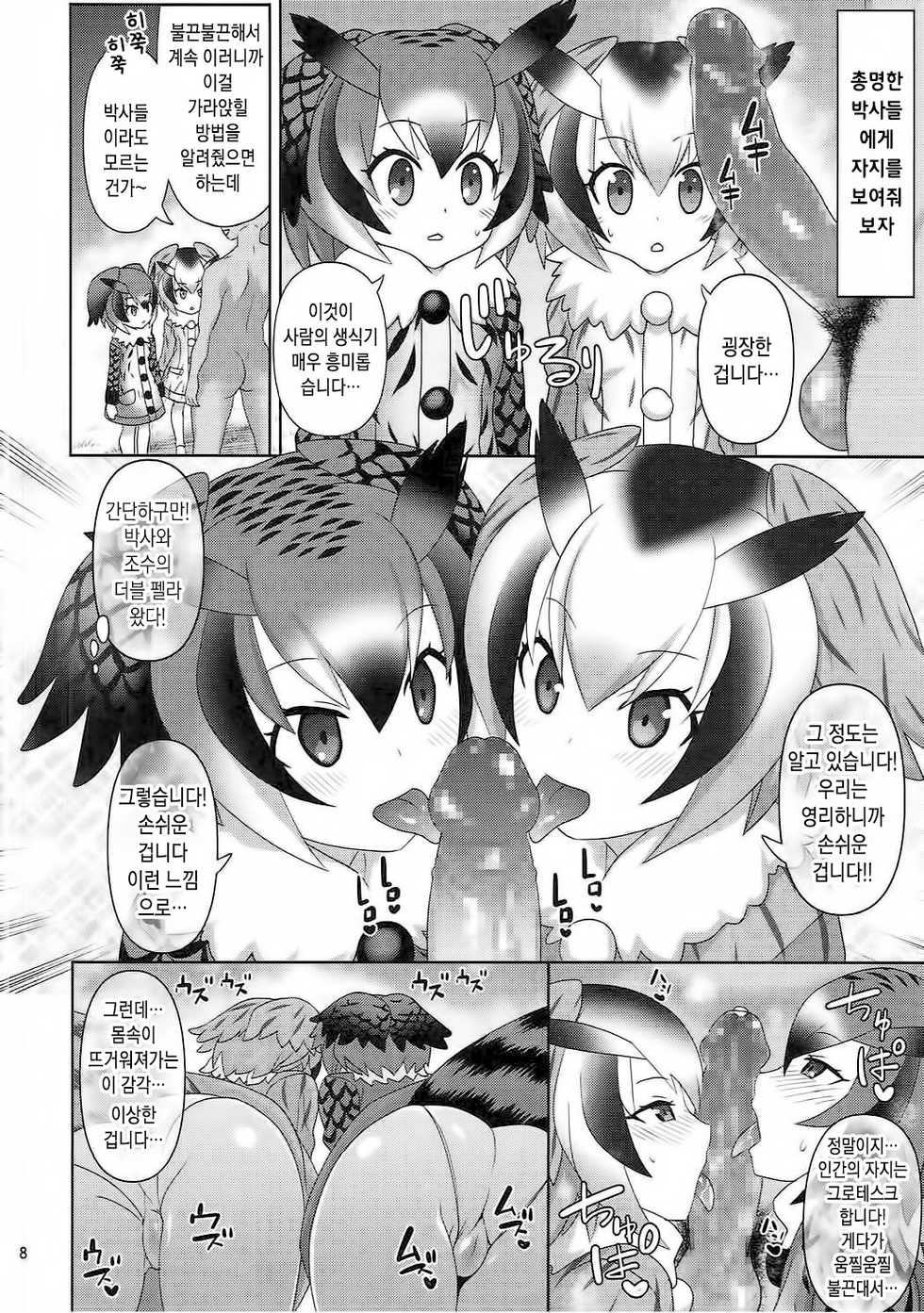 [Usui Hon Hitori Roudoku Kai (Tsukishima Mist)] Kyou mo Zukkon Bakkon Oosawagi!! | 오늘도 쑤컹쑤컹 대소동!! (Kemono Friends) [Korean] - Page 7