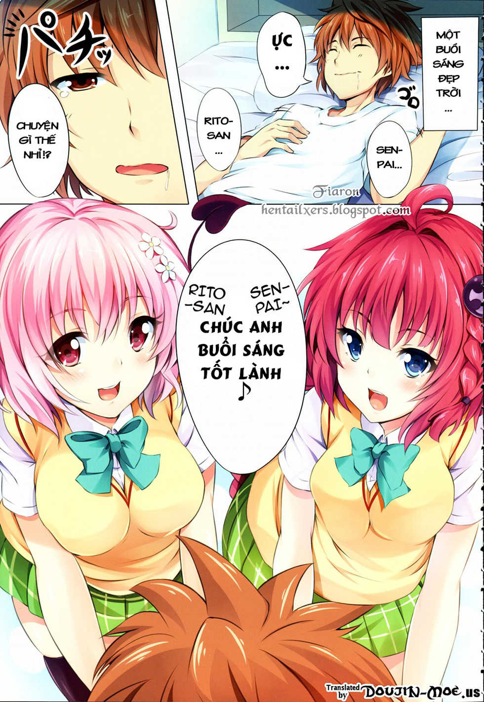 (C83) [SOTIKOTI (soramoti)] To LoVe-Ru Party (To LOVE-Ru) [Vietnamese Tiếng Việt] [Fiaron] - Page 2