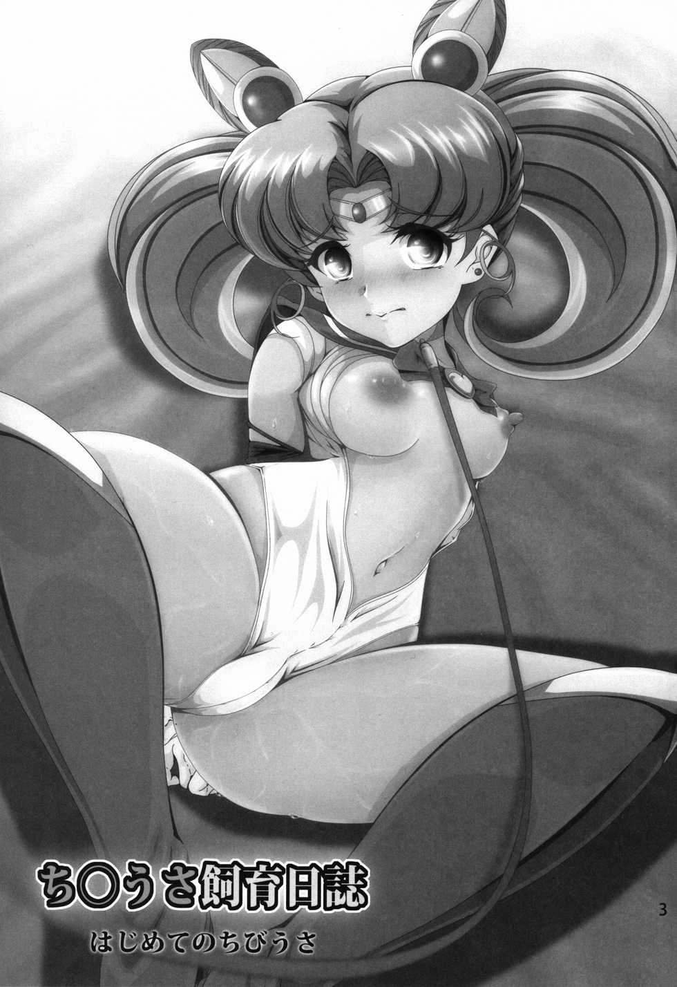 (SC2017 Summer) [Otokojuku (Nanashi Noizi)] Chibiusa Shiiku Nisshi (Bishoujo Senshi Sailor Moon) - Page 3