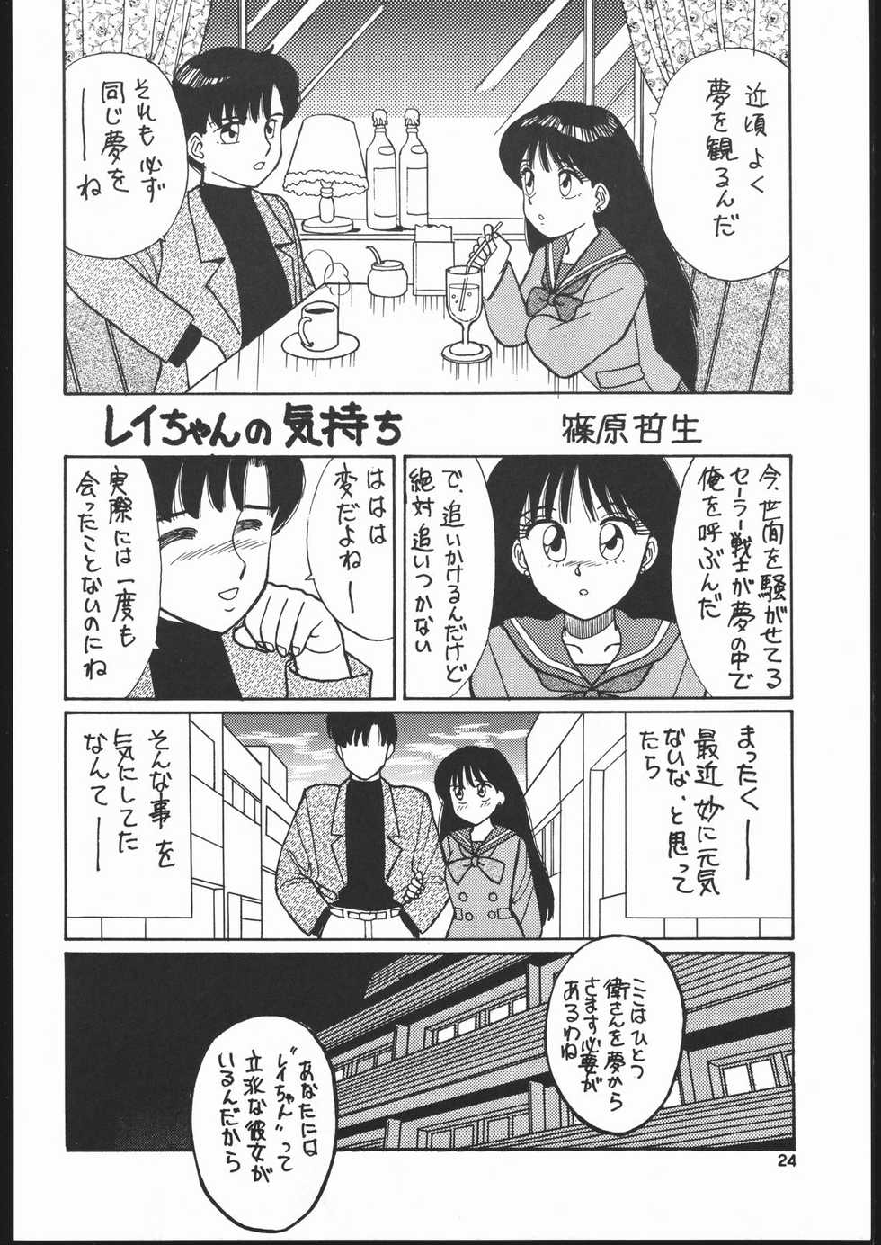 (C43) [Studio SKB (Various)] Gekkou 2 - Endymion 2 (Bishoujo Senshi Sailor Moon) - Page 23