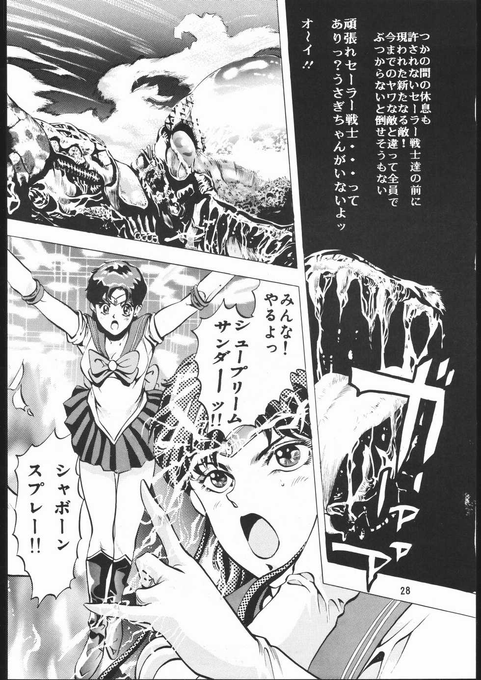 [TEAM IBM (Various)] Gekka no Kishi (Bishoujo Senshi Sailor Moon) - Page 27