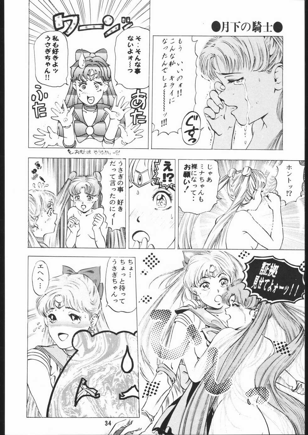 [TEAM IBM (Various)] Gekka no Kishi (Bishoujo Senshi Sailor Moon) - Page 33