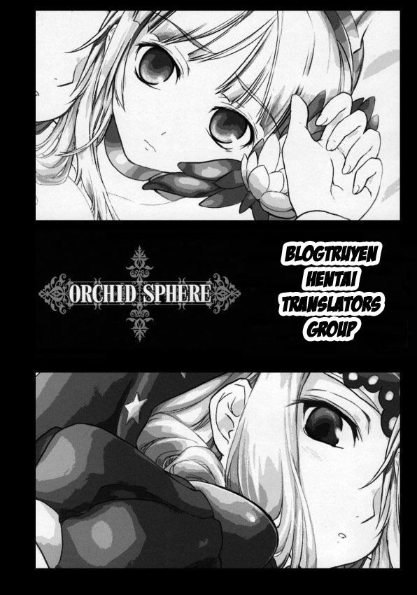 (C72) [Shimoyakedou (Ouma Tokiichi)] Orchid Sphere (Odin Sphere) [Vietnamese Tiếng Việt] [The_Breakert & Shirou] - Page 2