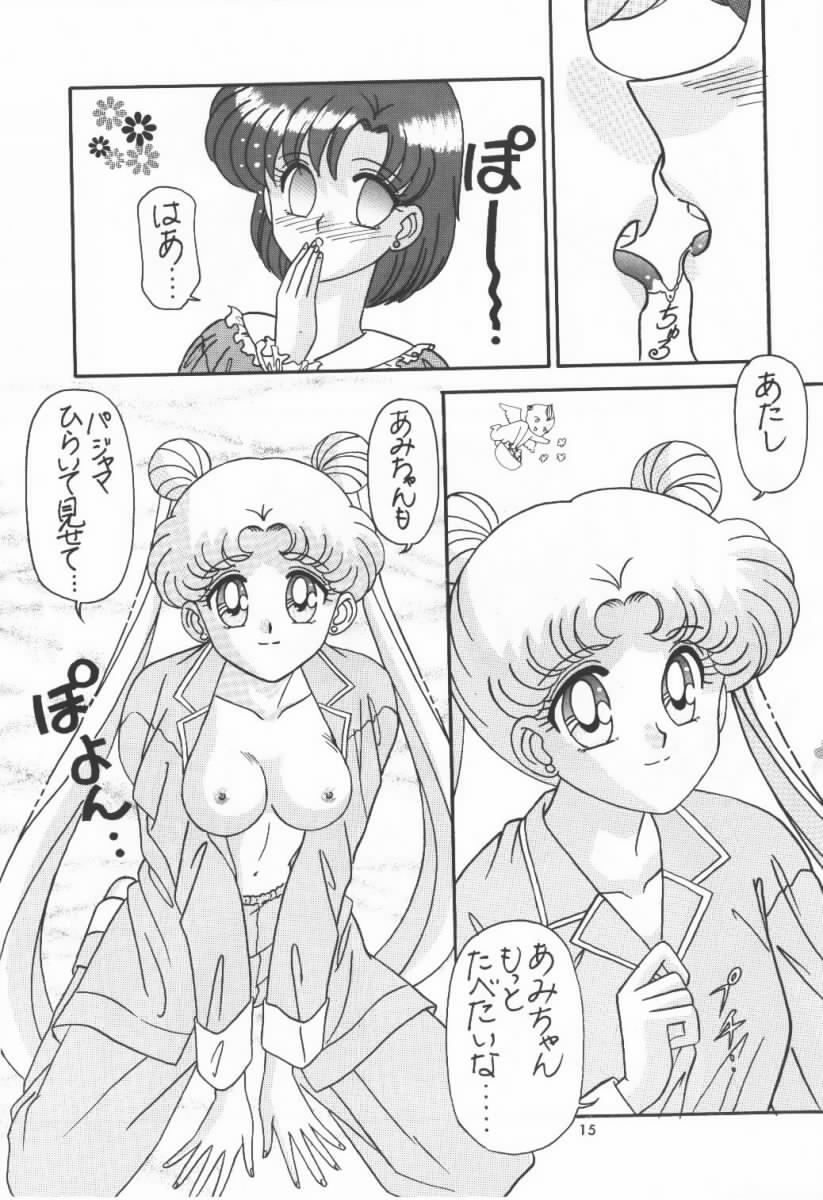 [Bousou!! Fuhatsudan (Takai Biki)] Master Plan (Bishoujo Senshi Sailor Moon) - Page 14