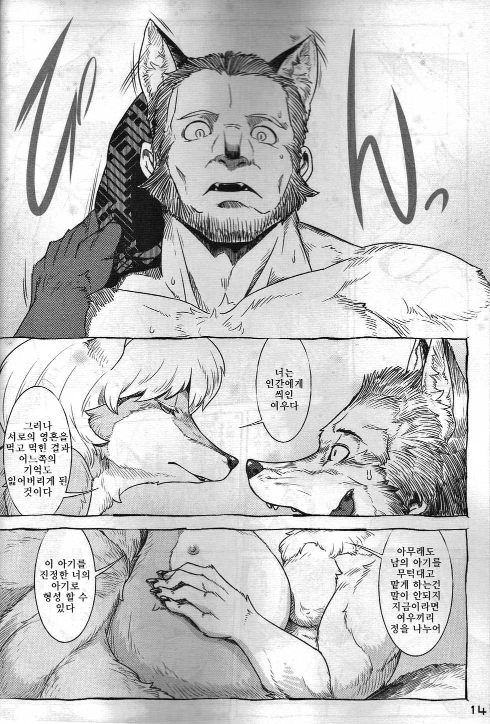 (C91) [Kitsunenomori (Various)] Touhou PLUMFUR FINAL | 잘자요 케모보테  (Touhou Project) [Korean] [LWND] - Page 13