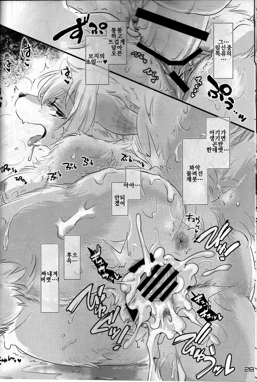 (C91) [Kitsunenomori (Various)] Touhou PLUMFUR FINAL | 잘자요 케모보테  (Touhou Project) [Korean] [LWND] - Page 27