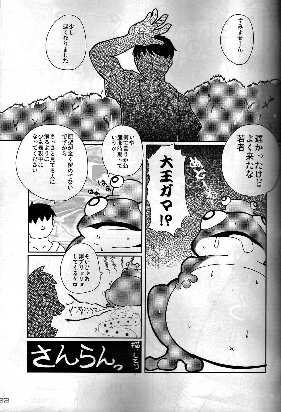 (C91) [Kitsunenomori (Various)] Touhou PLUMFUR FINAL (Touhou Project) - Page 22