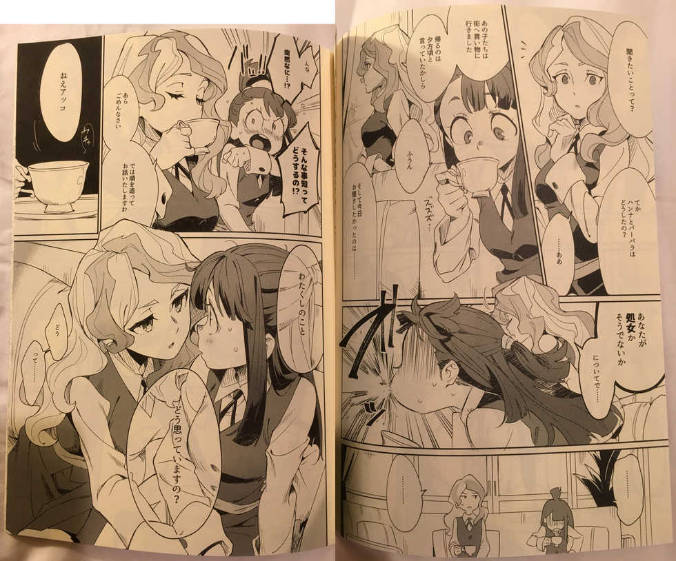 (C92) [DAICHIBOKUJOU (Makiba)] xxx (Little Witch Academia) - Page 5