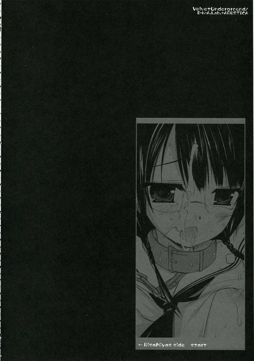 (C71) [ARESTICA, D.N.A.Lab. (Ariko Youichi, Miyasu Risa)] Velvet Underground (Sumomomo Momomo) - Page 5