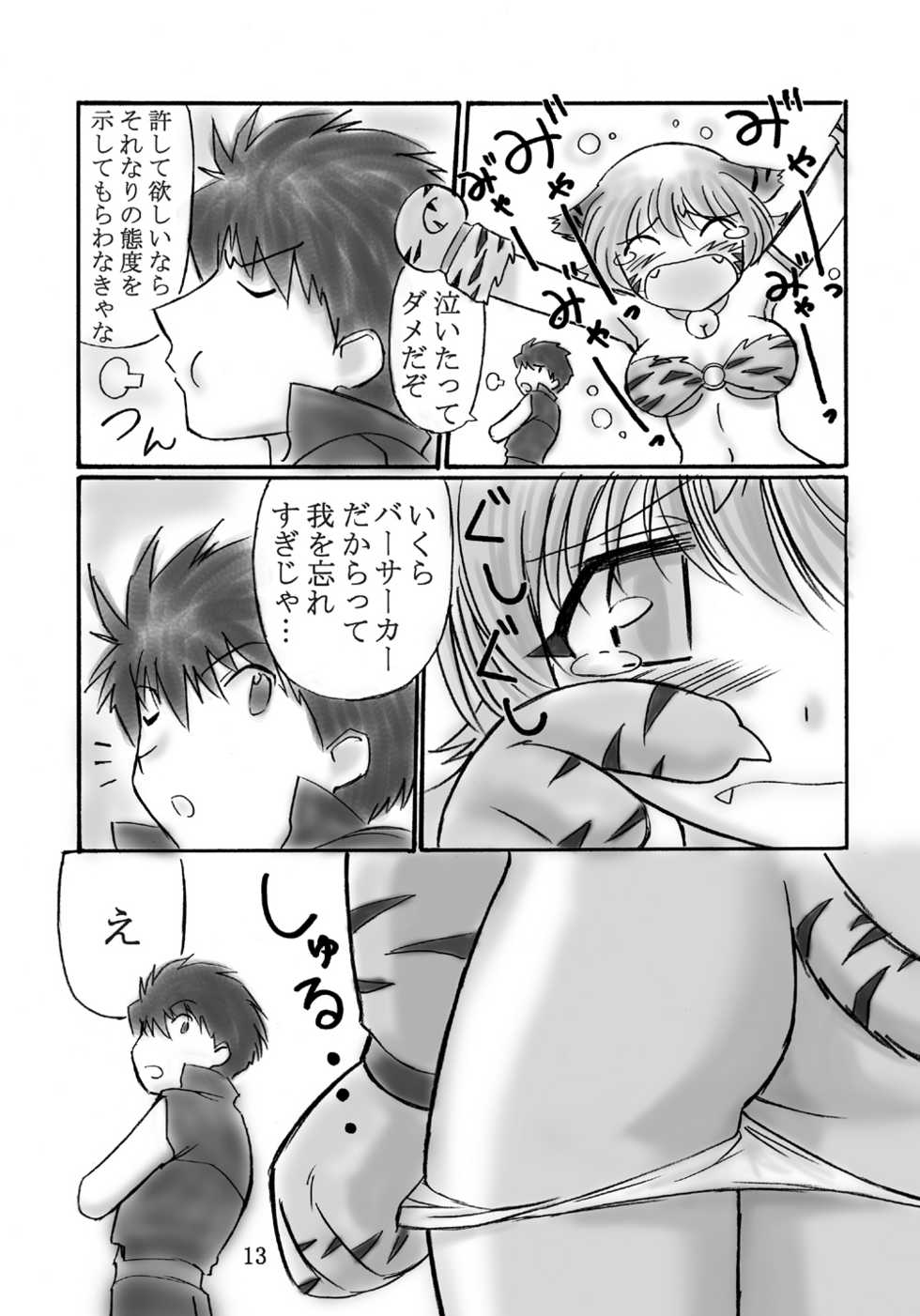 (C65) [Dark RoseEX-S (Hirooki)] JOB STAR (Final Fantasy V) - Page 12