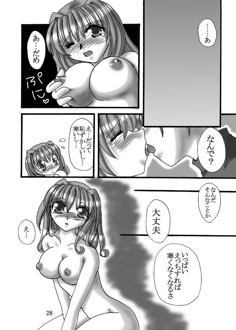 (C65) [Dark RoseEX-S (Hirooki)] JOB STAR (Final Fantasy V) - Page 27