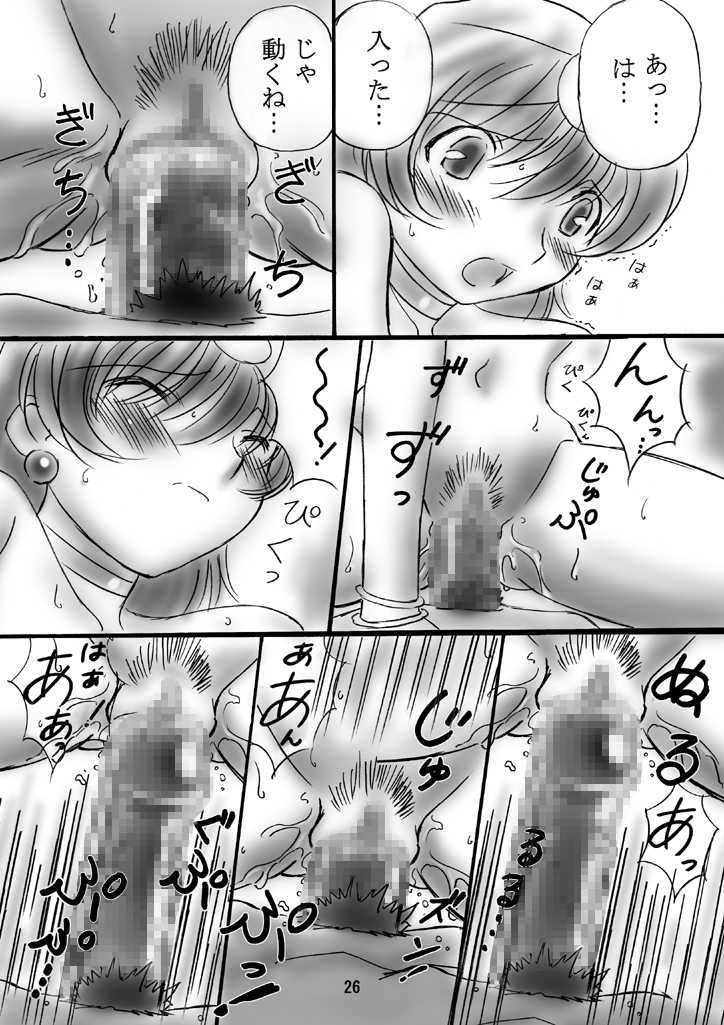 (C66) [Dark RoseEX-S (Hirooki)] JOB STAR 2 (Final Fantasy V) - Page 25