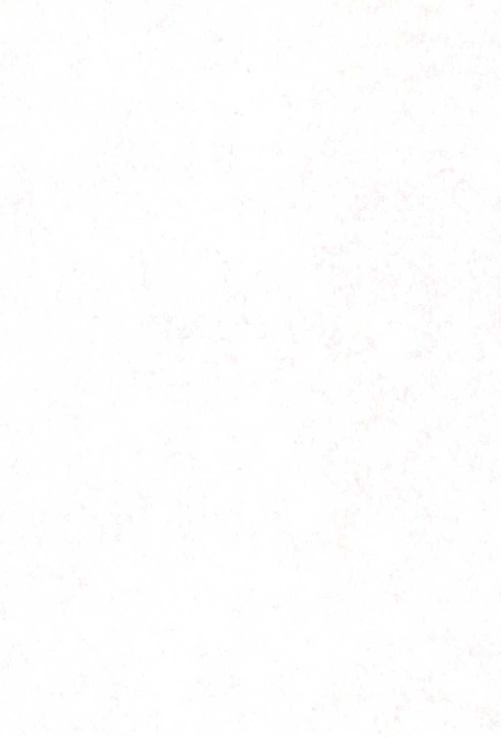 (C60) [CIRCLE FOUNDATION (Fujise Akira)] Plutinum 2 (Love Hina) - Page 3