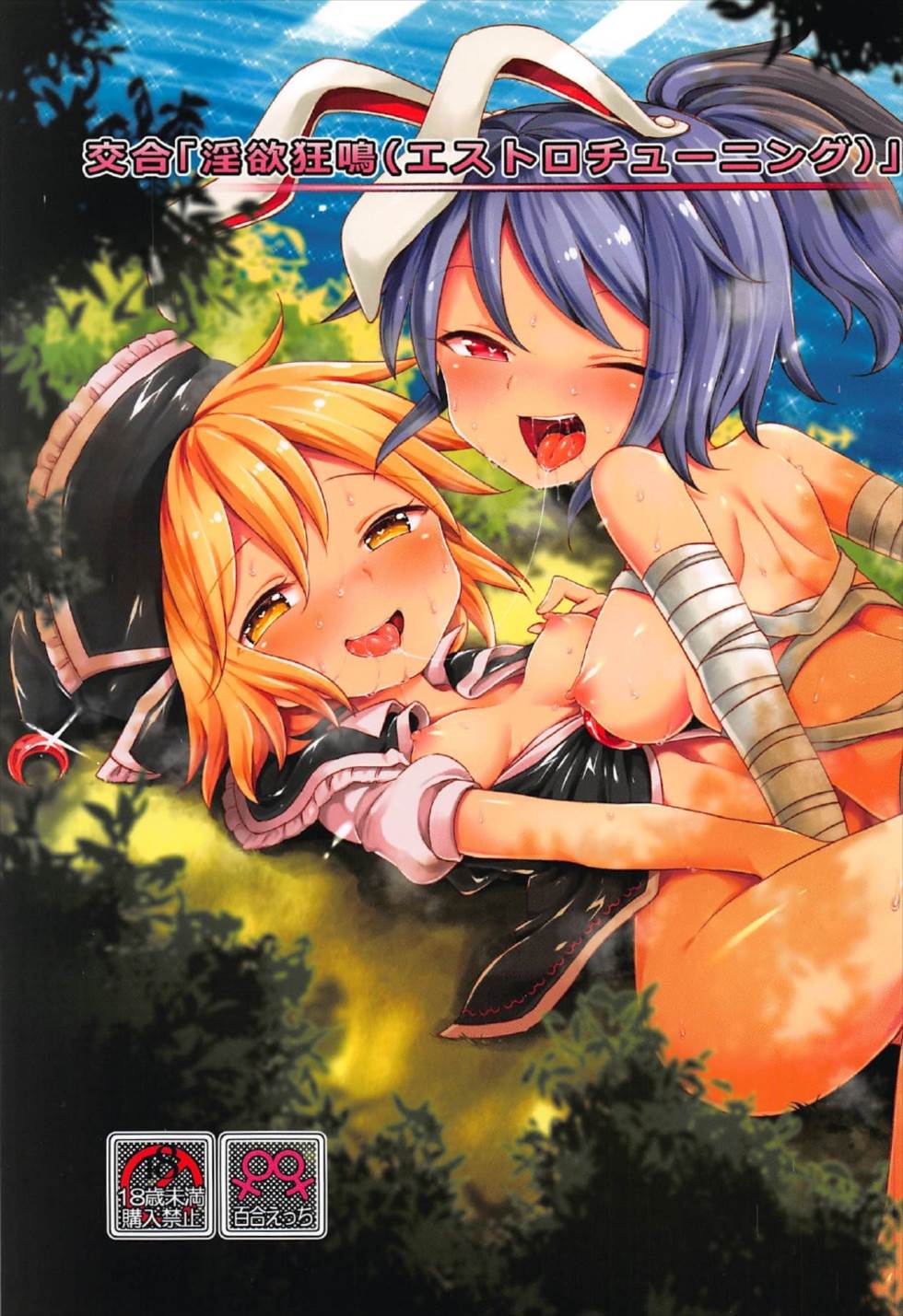 (C92) [Unmei no Ikasumi (Harusame)] Kougou "Estro Tuning" (Touhou Project) - Page 1