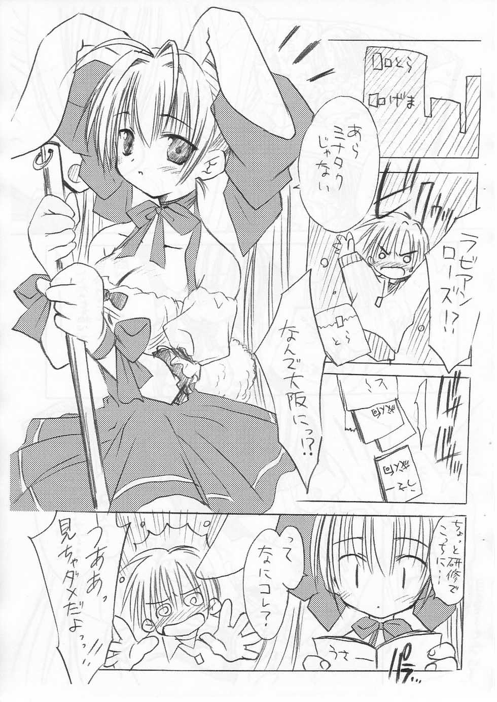 (USA2) [Mizukidou (Mizuki Takehito)] Akiba no Shiro Usagi (Di Gi Charat) - Page 2
