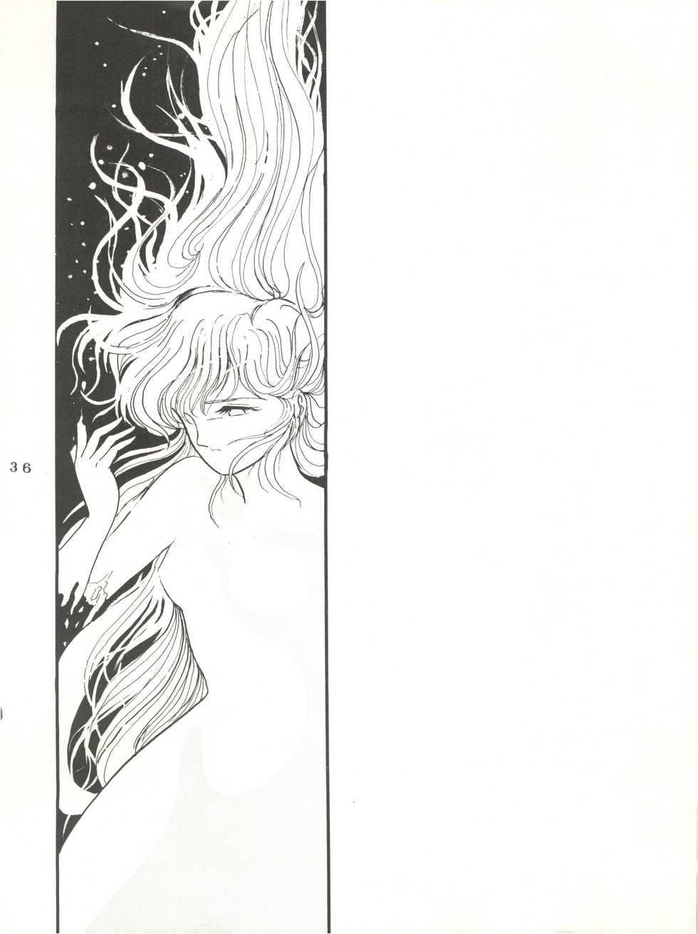 [L-Gauge Sha (Shouryuu)] WA 2 (Ranma 1/2, Bastard) [1993-10-03] - Page 35