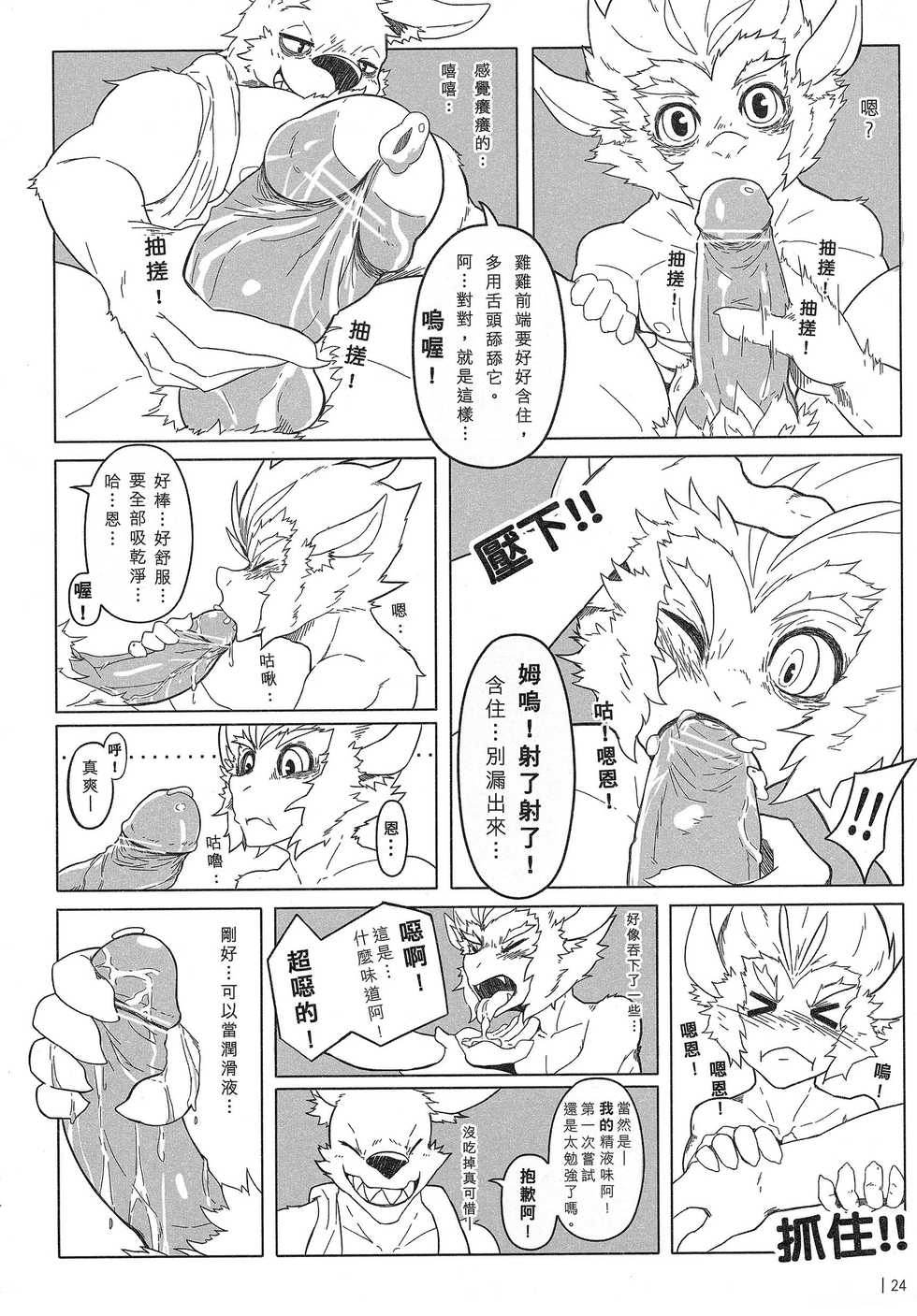 (FF22) [KUMAK] 叛逆英雄 Rebel Hero - Page 25